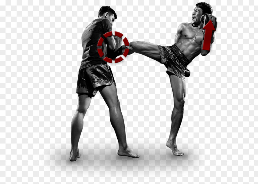 Thailand Muay Thai Kickboxing Contact Sport Martial Arts PNG