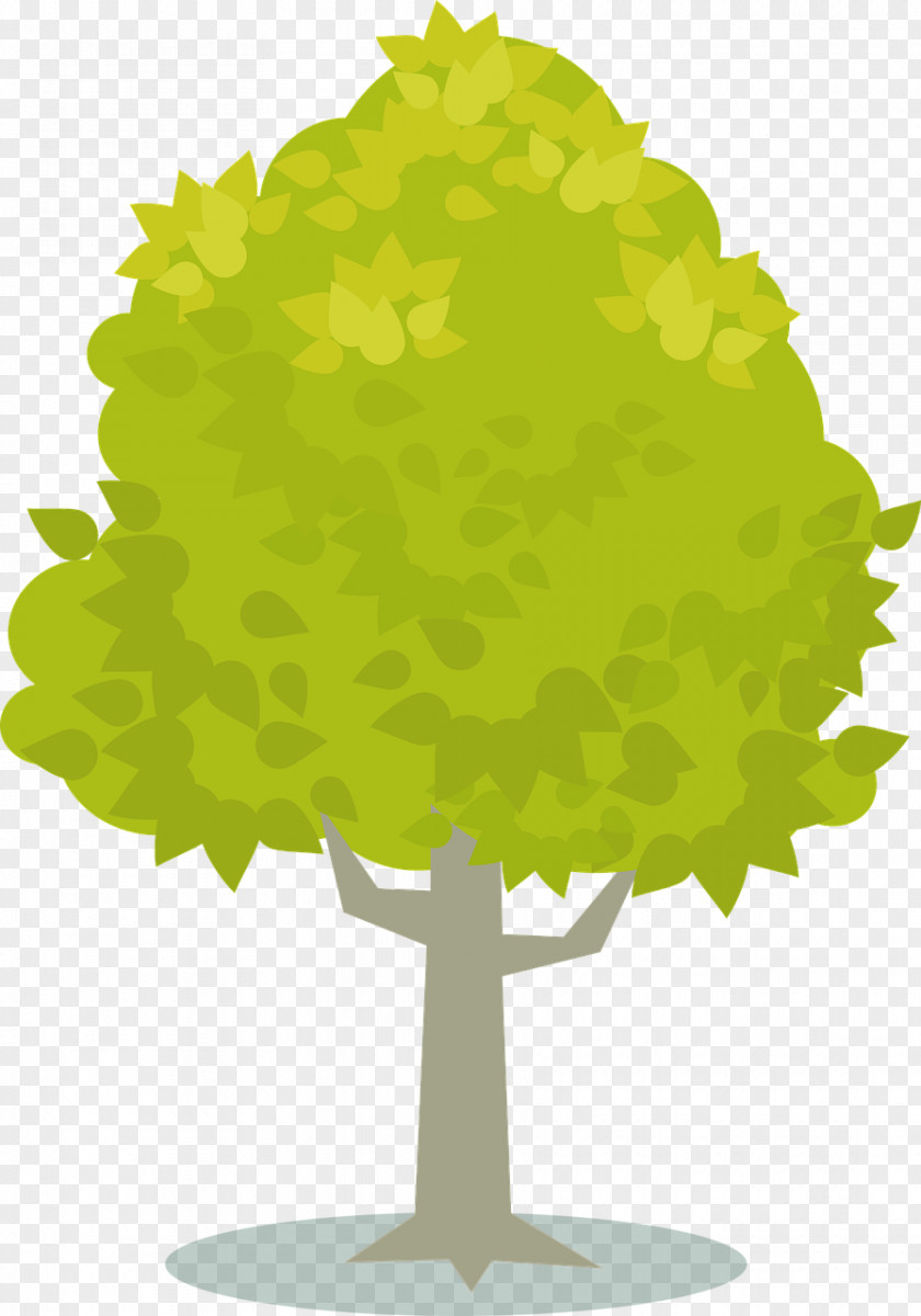 Tree Plant Yellow Clip Art PNG