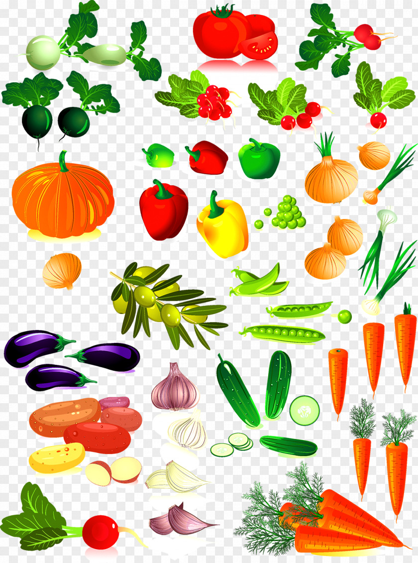 Vegetable Collection Clip Art PNG