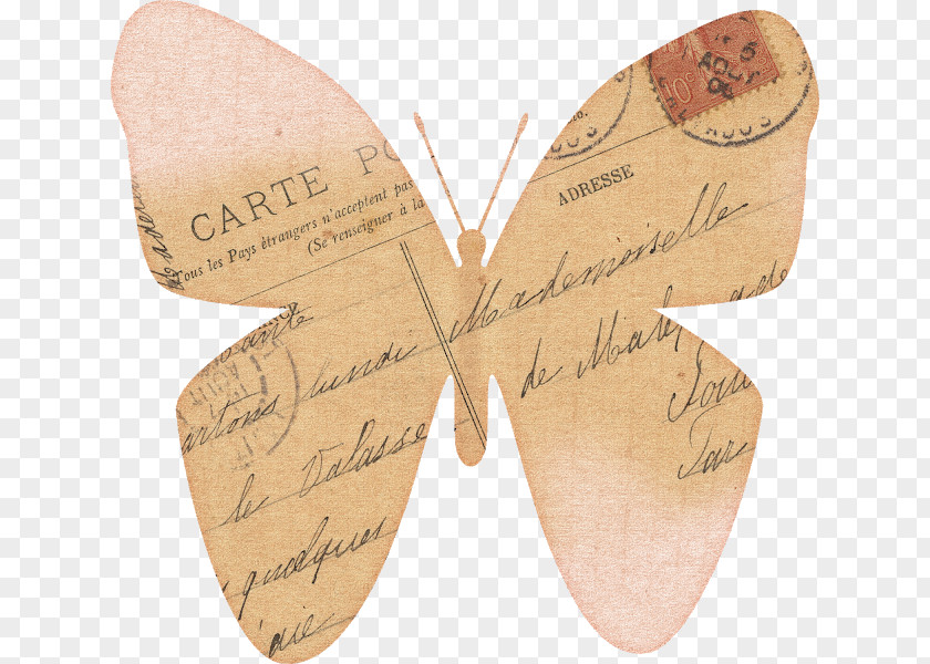 Vintage Sea Web Page Moth PNG