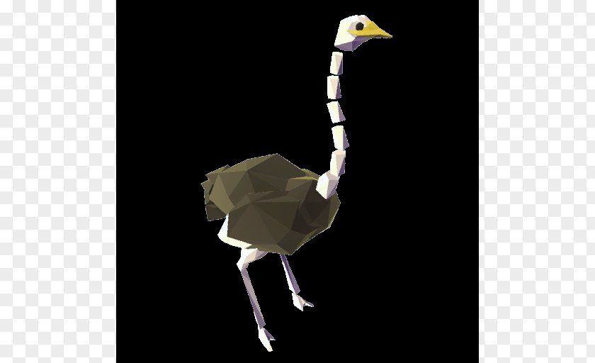 Bird Common Ostrich Crane Beak PNG