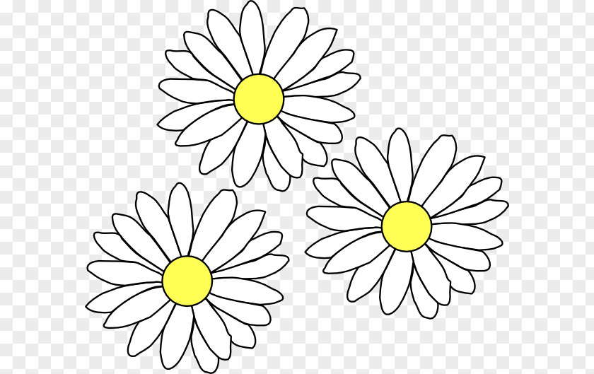 Daisies Common Daisy Clip Art PNG