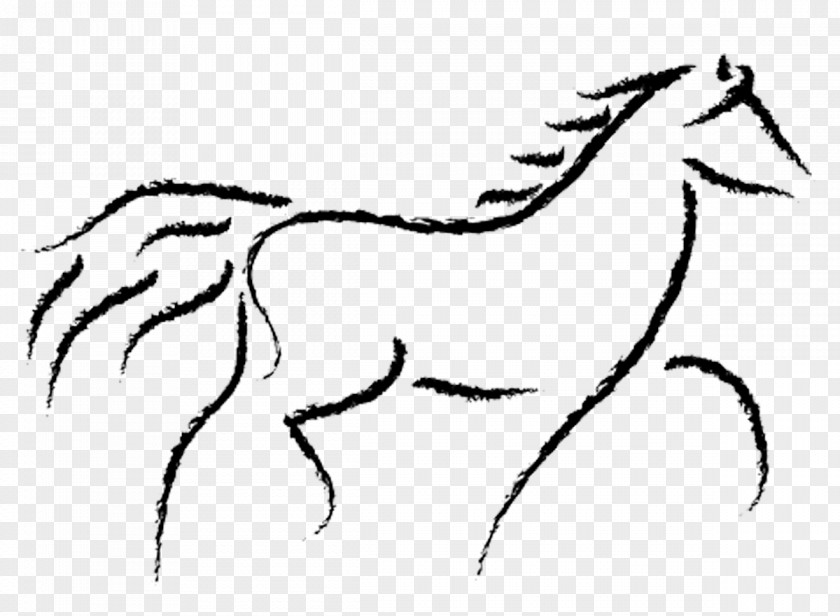 Mink Clipart American Quarter Horse Arabian Drawing Canter And Gallop Clip Art PNG
