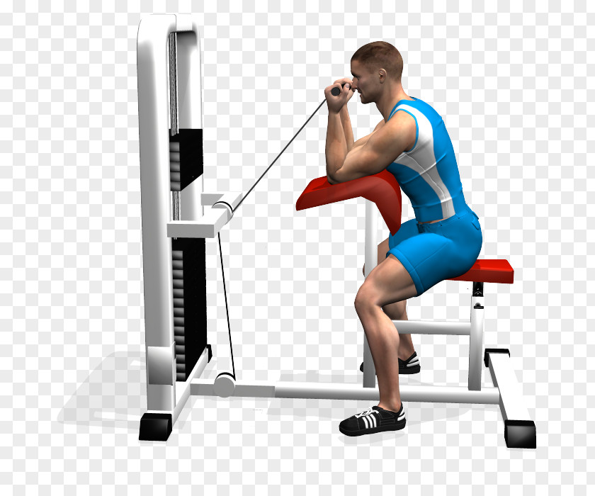 Panca Scott Weight Training Weightlifting Machine Strength Hip PNG