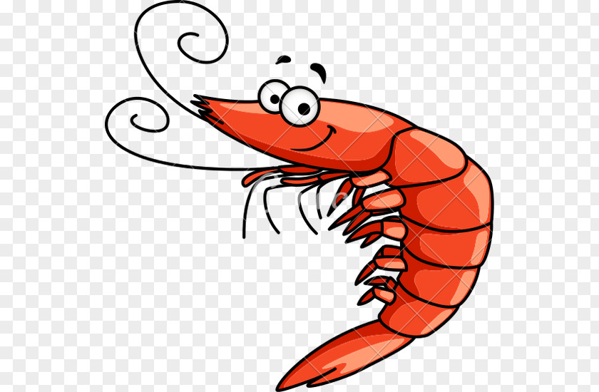 Shrimps Royalty-free Drawing Shrimp Clip Art PNG