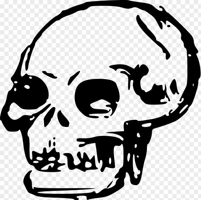Skulls Human Skull Symbolism Drawing Clip Art PNG