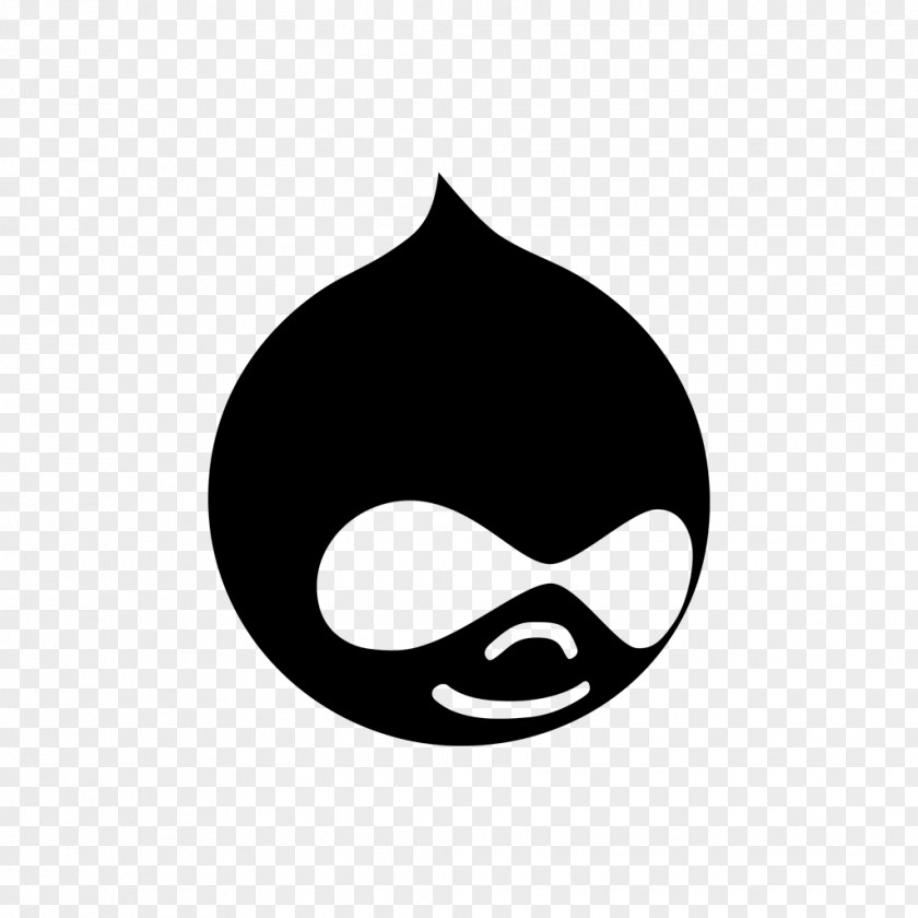 World Wide Web Drupal Development Download PNG