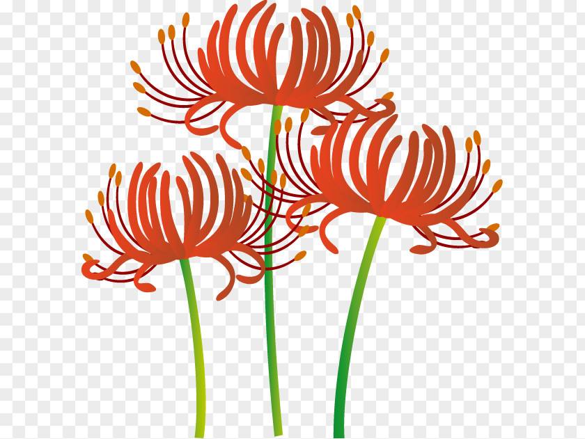 Autumn Clip Art Higan Illustration Red Spider Lily PNG