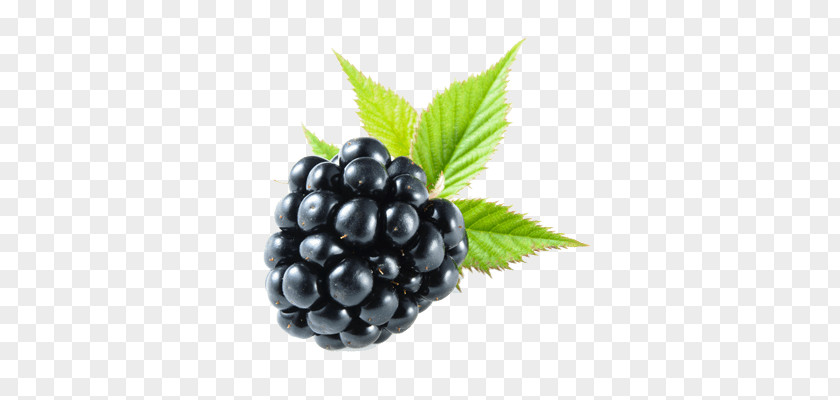 Blackberry PNG clipart PNG