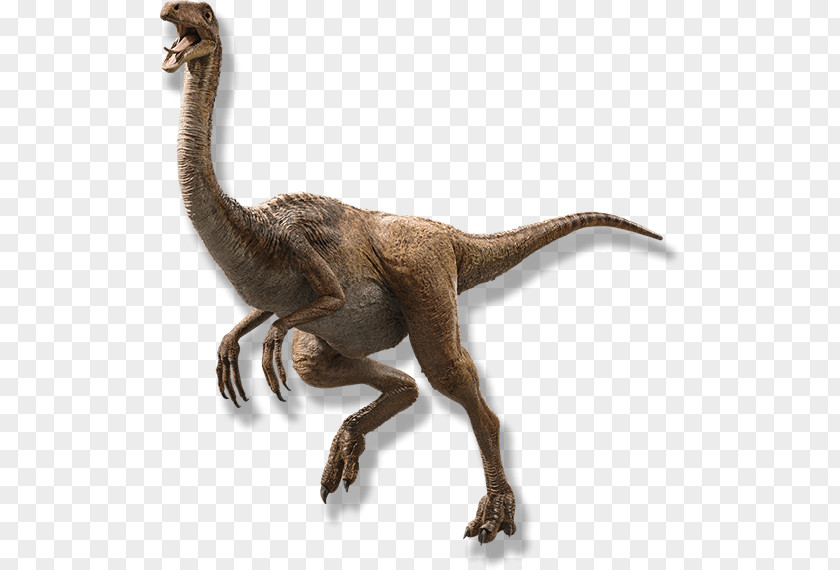 Dinosaur Gallimimus Parasaurolophus The Lost World Jurassic Park PNG
