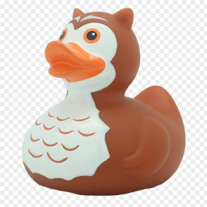 Duck Rubber Owl PNG