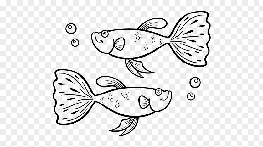 Fish Siamese Fighting Guppy Drawing Coloring Book PNG