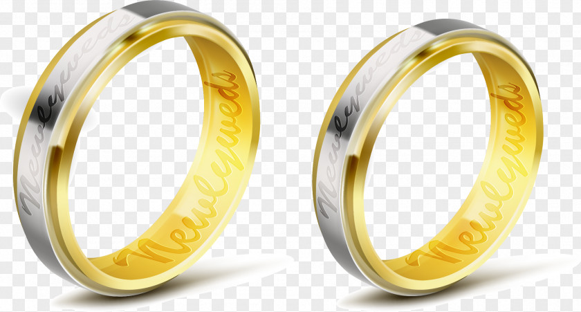 Vector Hand-painted On The Ring Wedding Euclidean PNG