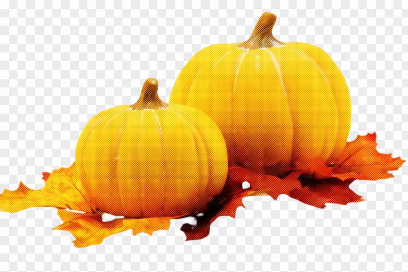 Fruit Cucurbita Pumpkin PNG