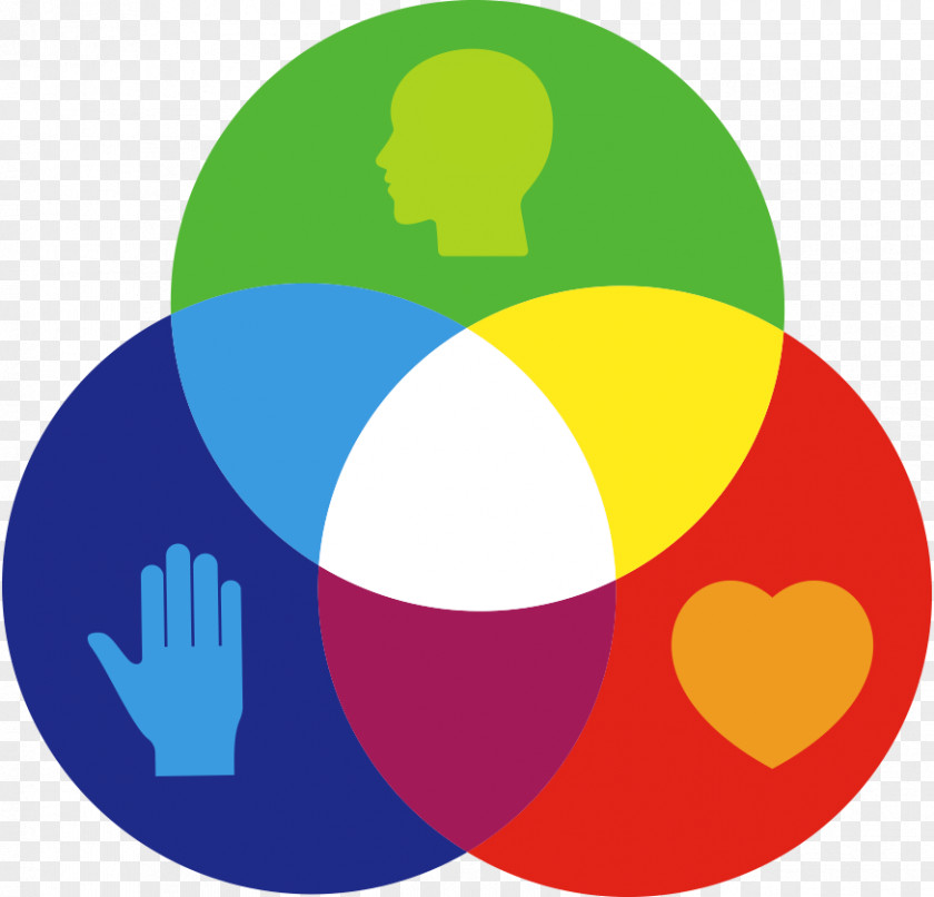 Group Of People Primary Color Secondary Theory Wheel PNG