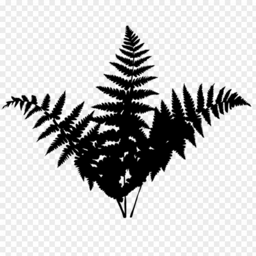 M Silhouette Line Leaf Black & White PNG