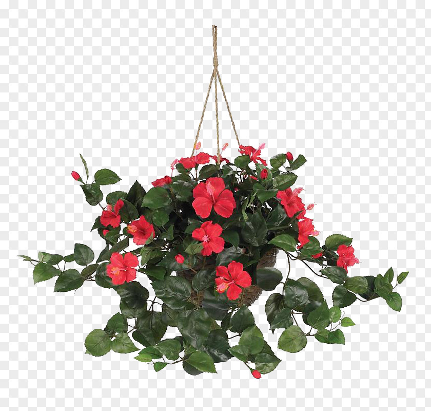 Vegetacion Hanging Basket Plant Artificial Flower PNG