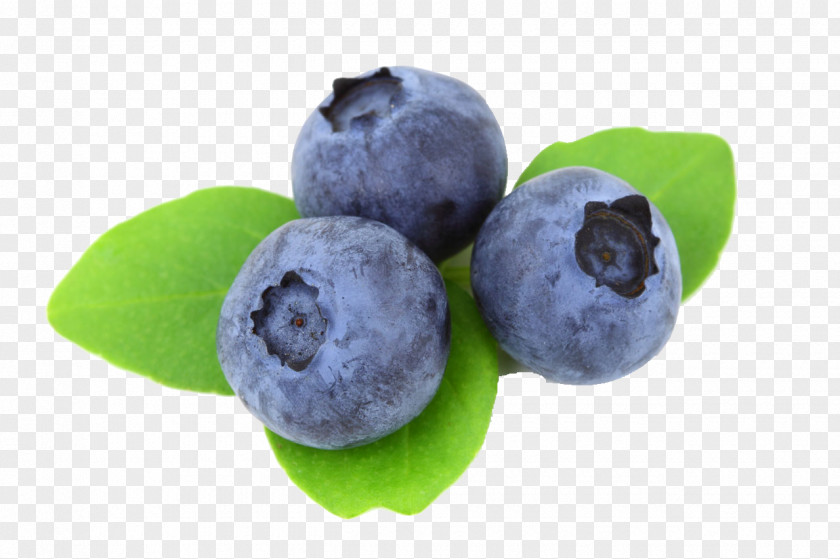 Blueberry Juice Berries Food Tea PNG