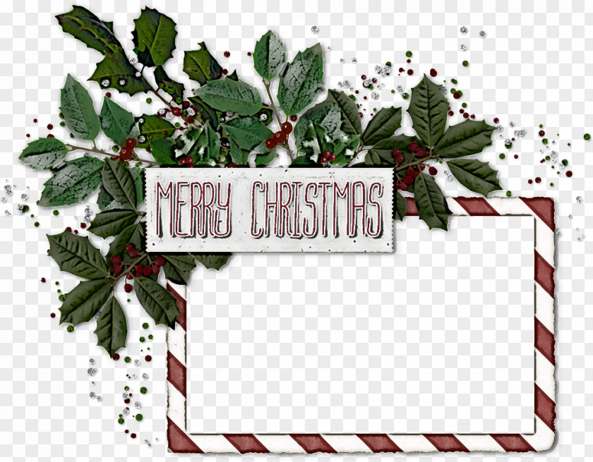 Branch Label Holly PNG
