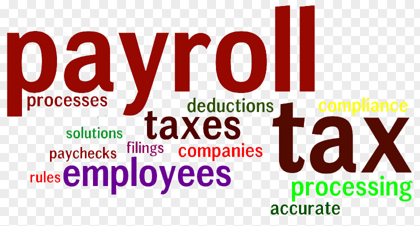 Business Payroll Tax Accountant Accounting PNG