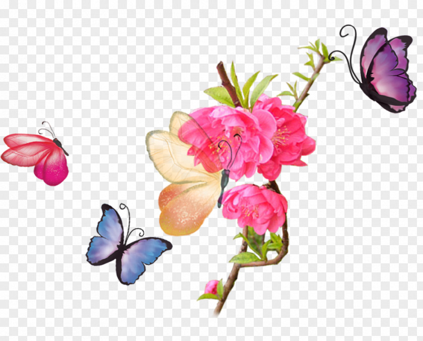 Colorful Butterfly Clip Art PNG