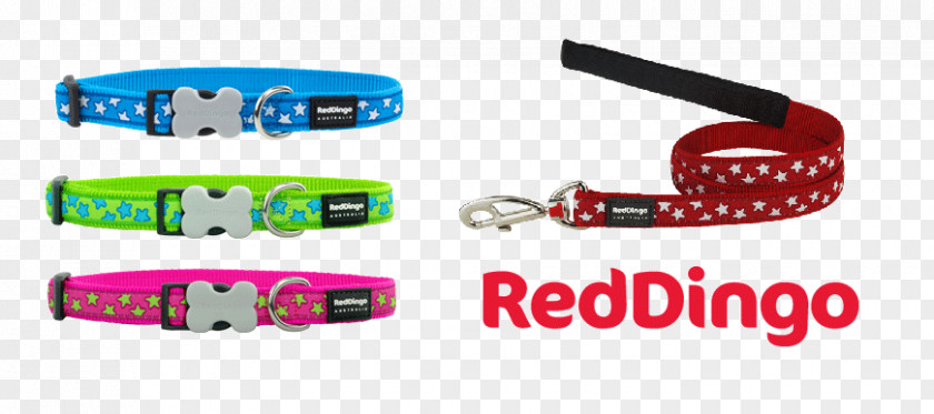 Dog Collar Leash Dingo PNG