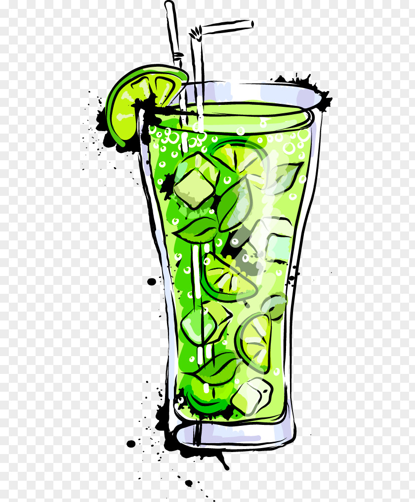 Vector Cartoon Cocktail Drink Green Mojito Negroni Martini PNG