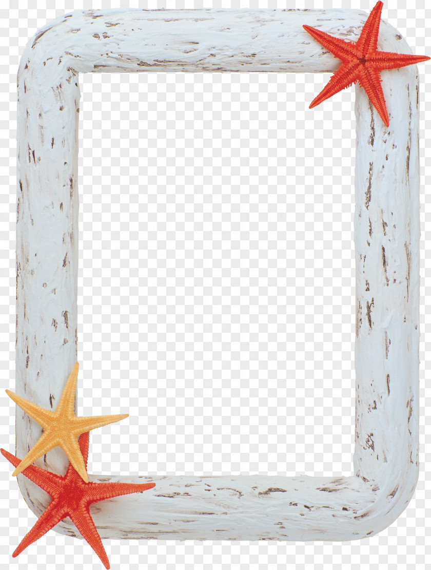 White Frame Picture Frames Clip Art PNG