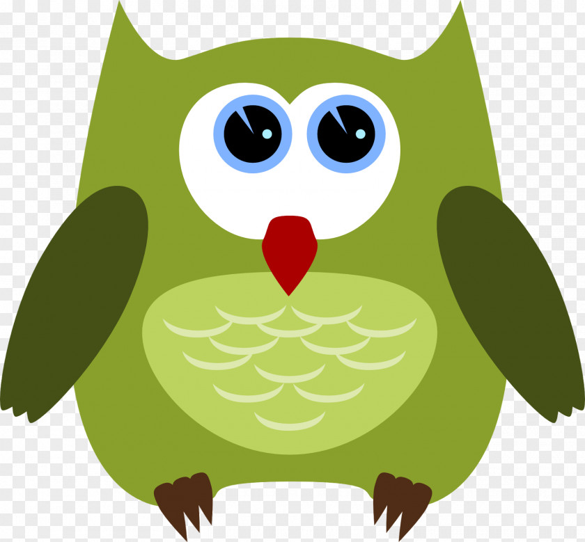 Coruja Owl Bird Drawing Clip Art PNG