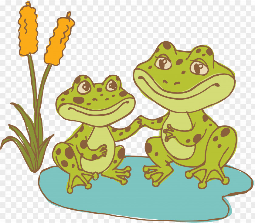 Crawfish Frog Ecology Parenting Erziehung Дошкольный возраст Дошкольное образование в России PNG