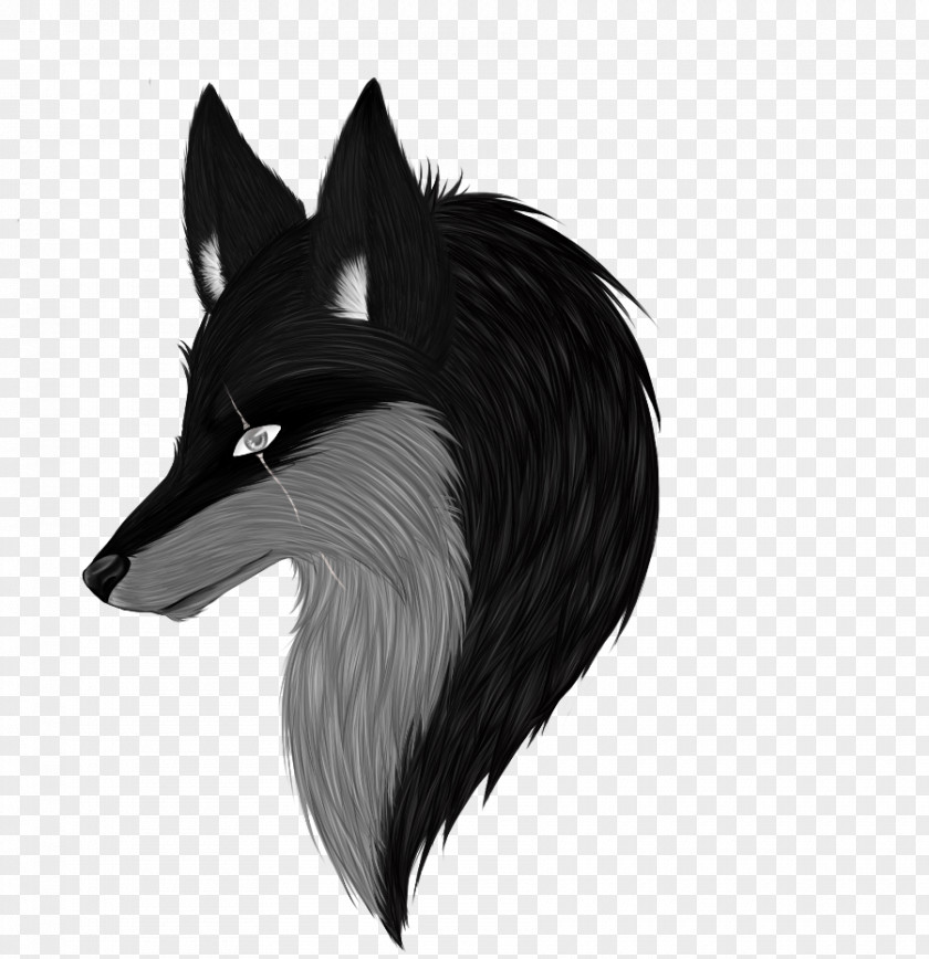 Red Fox Drawing Gray Wolf PNG fox wolf, anime boy clipart PNG