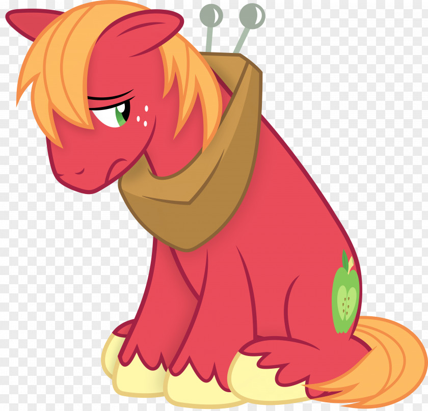 Stallion Vector Pony Pinkie Pie Rainbow Dash Fluttershy Horse PNG