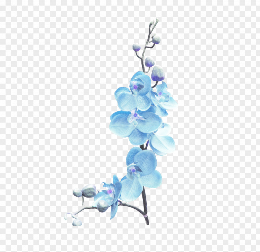 Blue Floral Flower Yandex Search PNG