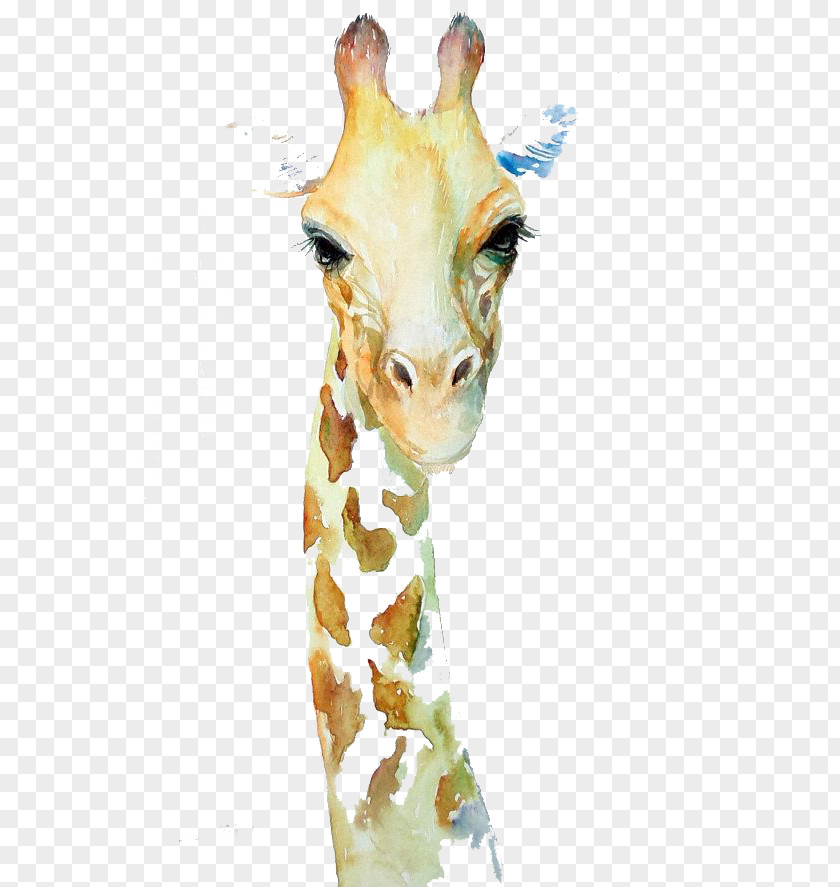 Cute Giraffe Northern Watercolor Painting Art Drawing PNG