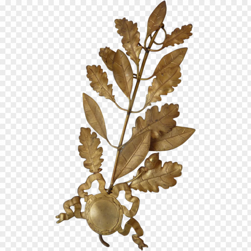 Leaf Twig PNG