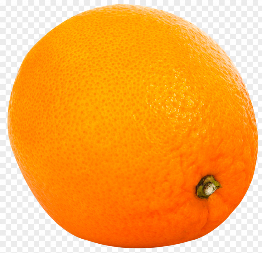 Orange Fruit Clementine Grapefruit Tangelo Tangerine Rangpur PNG