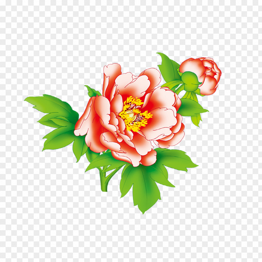 Red Peony Floral Design PNG