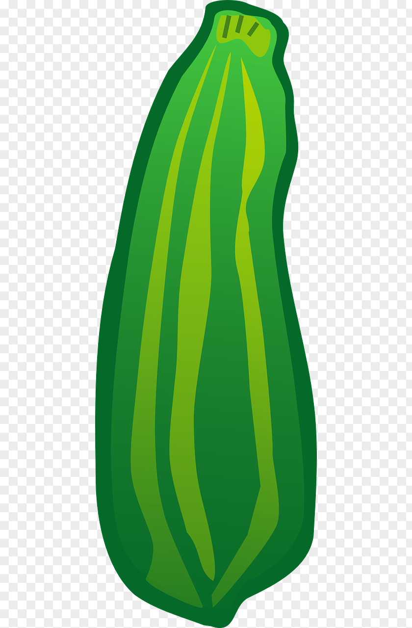 Vegetable Zucchini Clip Art PNG