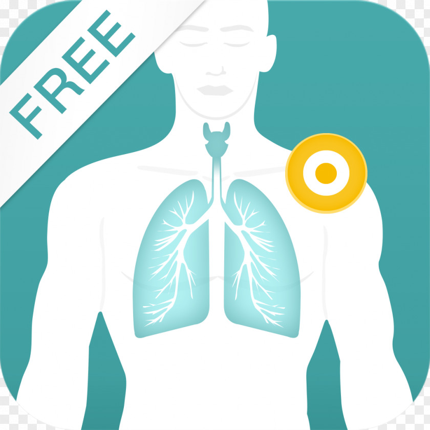 Free Therapy AndroidCough Acupressure Points PNG
