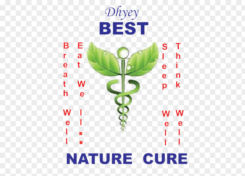 Health Medicine Naturopathy Alternative Services Acupressure PNG