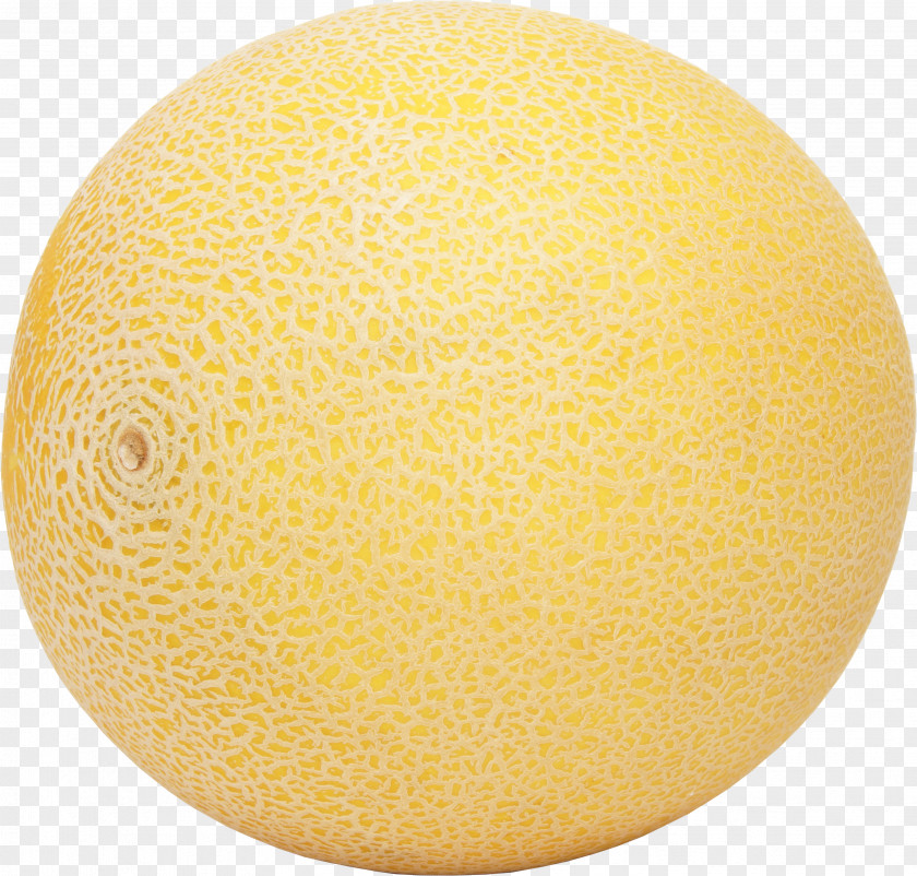 Melon Honeydew Cantaloupe Galia Hami PNG