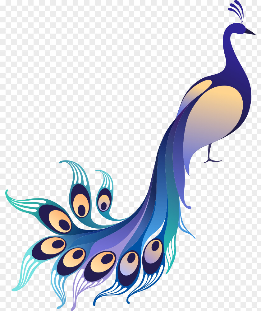 Vector Gradient Blue Peacock Asiatic Peafowl Stock Illustration Clip Art PNG