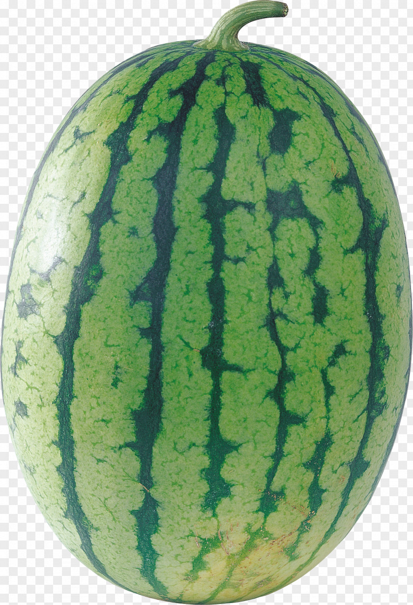 Watermelon Cantaloupe Citrullus Lanatus PNG