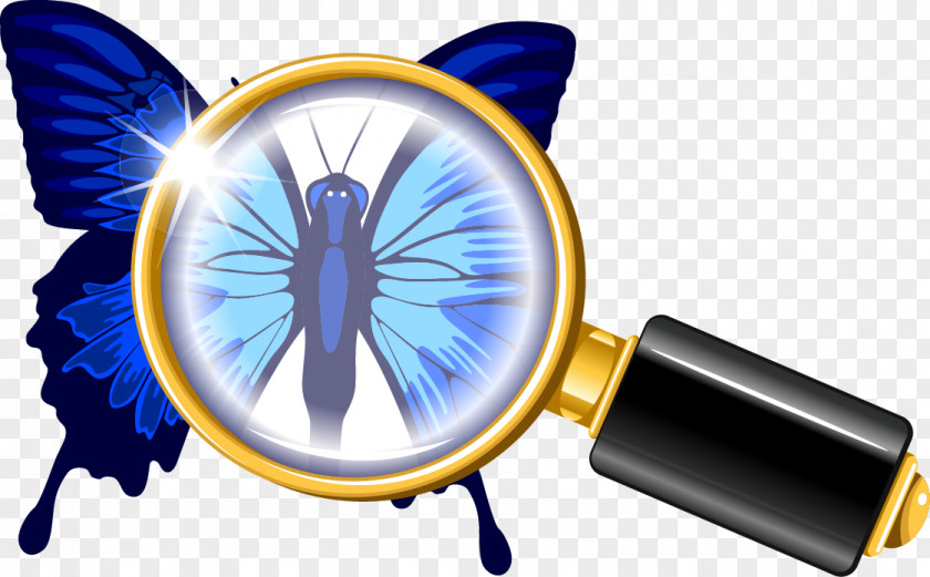 Blue Butterfly Magnifier Magnifying Glass Euclidean Vector Illustration PNG