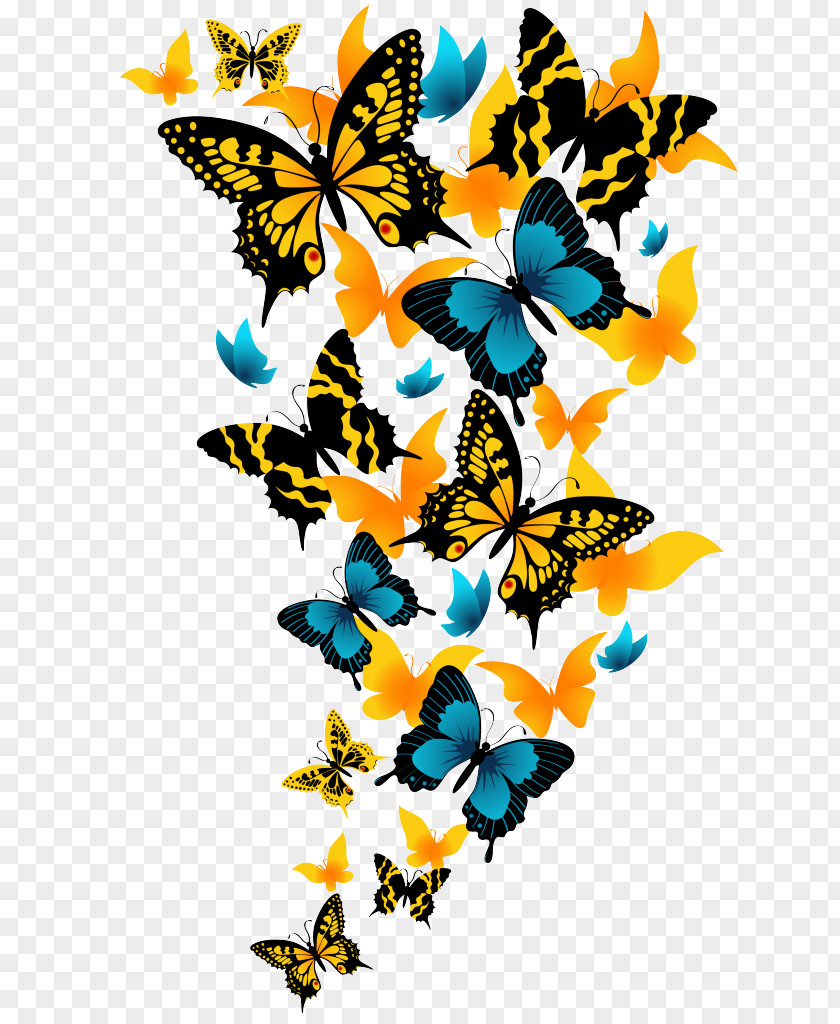 Butterfly Download Clip Art PNG