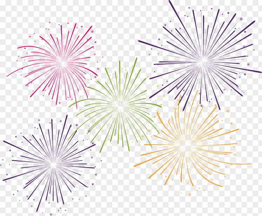 Carnival Fireworks Pyrotechnics PNG
