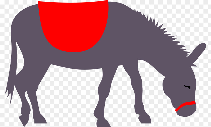 Donkey Mule Clip Art PNG