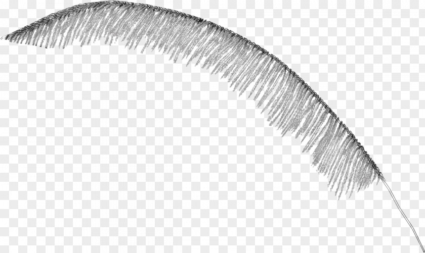 Feather Watercolor Product Design Eyelash Brush PNG