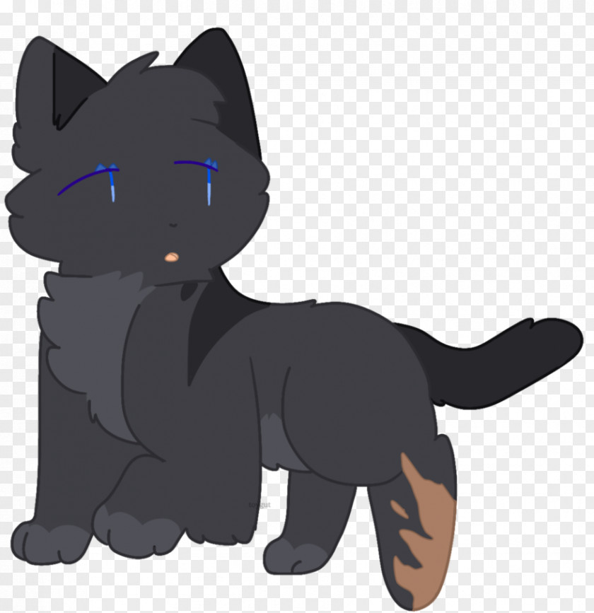 Kitten Black Cat Whiskers Horse PNG