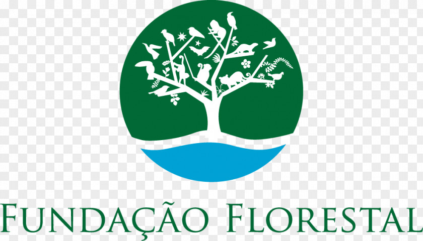 Rio Do Peixe Fundação Para Conservação E Produção Florestal Estado De São Paulo Natural Environment Conservation Environmental Protection PNG